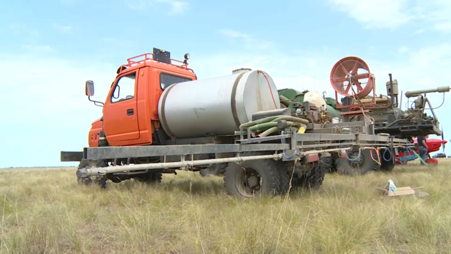 Қостанай облысында 650 мың га алқапта шегіртке ошақтары анықталды