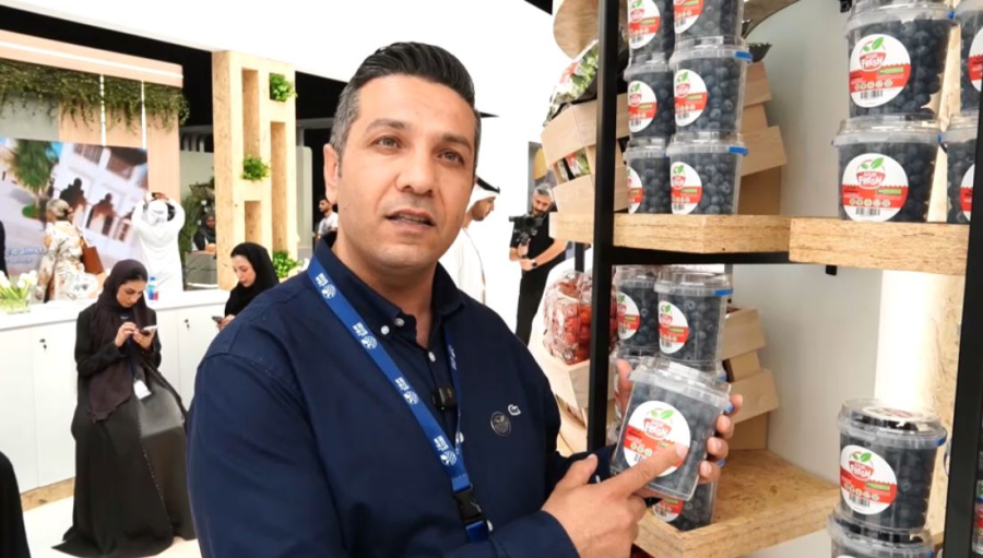 БАӘ шаруалары таңқурай мен құлпынай өсіре бастады