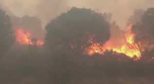 Мощные лесные пожары бушуют на границе Испании и Франции