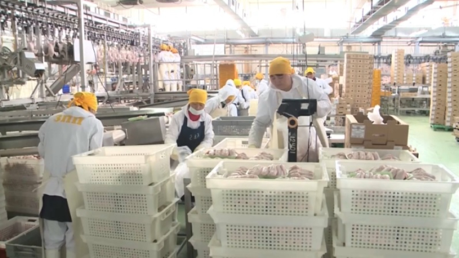 Казахстан продолжает усиливать позиции несырьевого экспорта