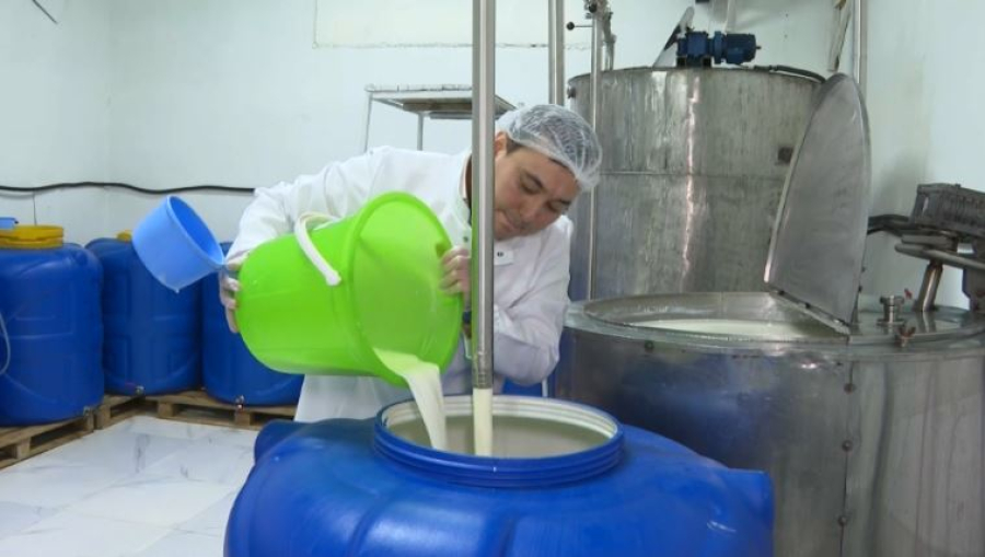 Современную версию кумыса начали выпускать в Талдыкоргане