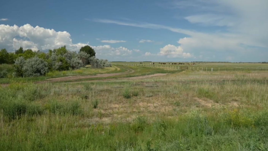 Павлодар облысында жер ресурстарын зерттеу басталды