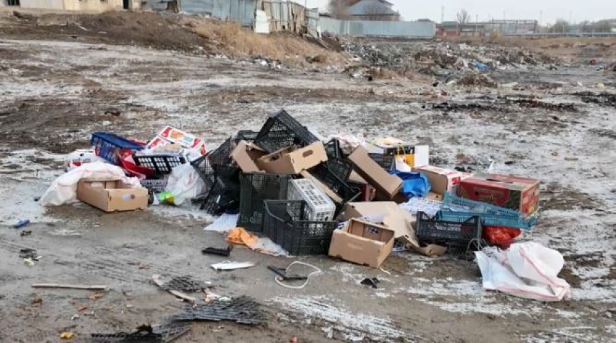 TazaQazBot помогает наводить порядок в Кызылорде