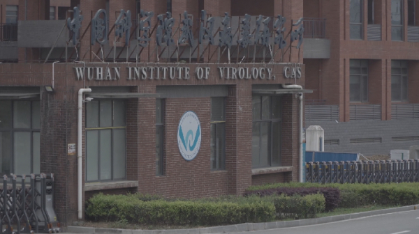 Коронавирус өмірді қысқартты