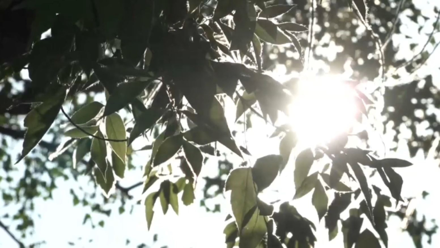 Еліміздің басым бөлігінде ауа райы құбылмалы болады