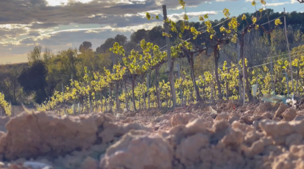 Испанияда су тапшы