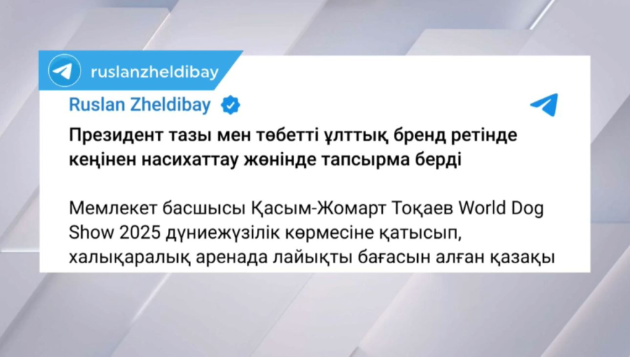 Қ.Тоқаев тазы мен төбетті ұлттық бренд ретінде насихаттауды тапсырды
