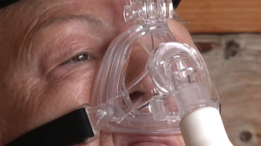 Түркияда ара терапиясына сұраныс артты