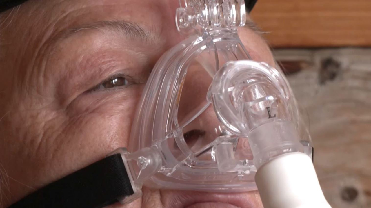 Түркияда ара терапиясына сұраныс артты