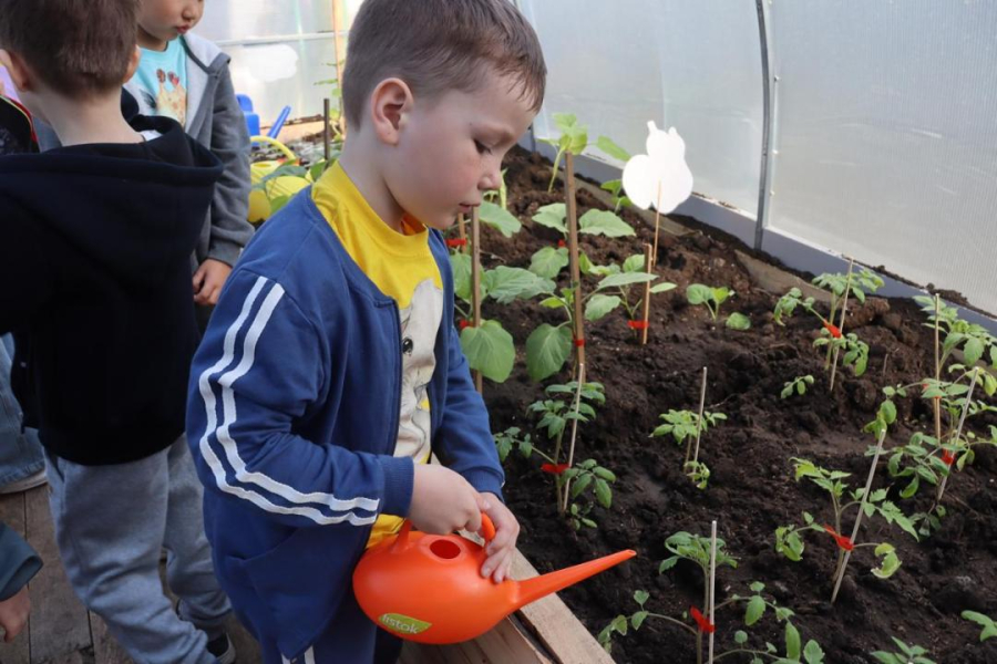 Дети познают мир в эко-теплице Костаная