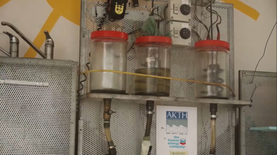 Кипрде оқушылар майдан биоотын алуға атсалысады