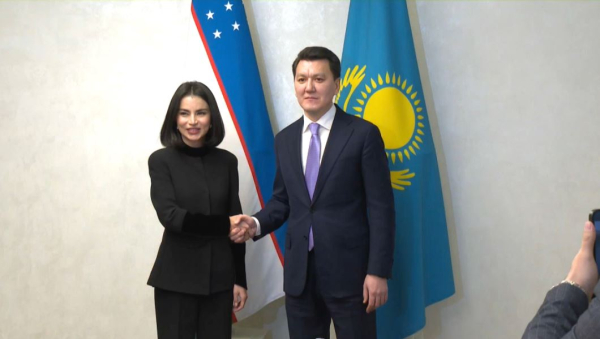 Ерлан Қарин Саида Мирзиёевамен кездесті