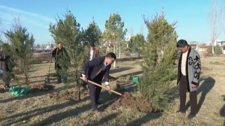 Түркістан облысында 100 мың көшет егілді