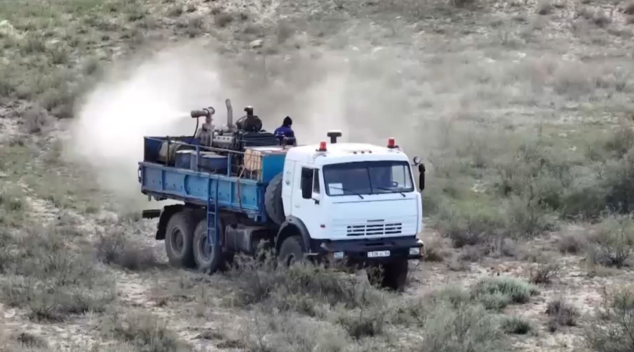 В девяти районах Актюбинской области проводят обработку против саранчи