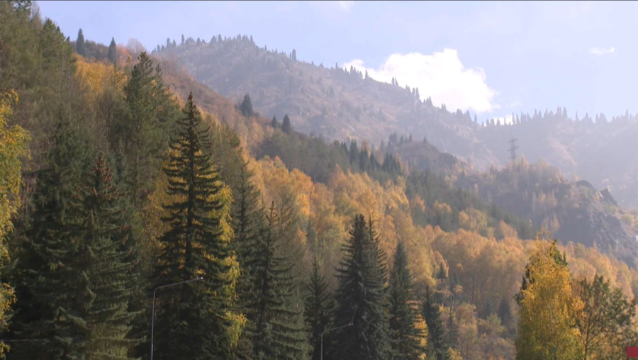 Алматы тау кластері, Almaty Superski жобаларының брендке айналу мүмкіндігі бар