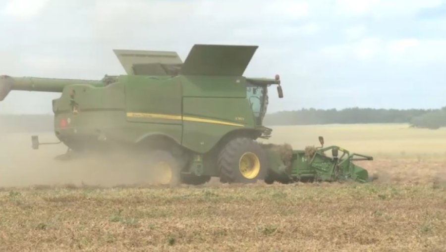 Акмолинские аграрии активно собирают урожай