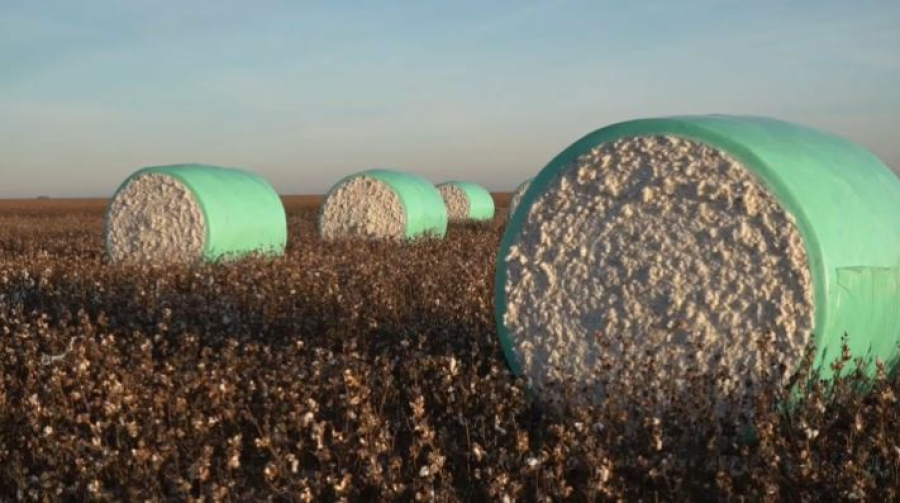 Туркестан переходит на современные методы водосбережения