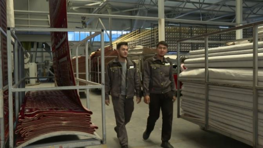 «Молодёжная практика» помогает выпускникам начать карьеру в Шымкенте