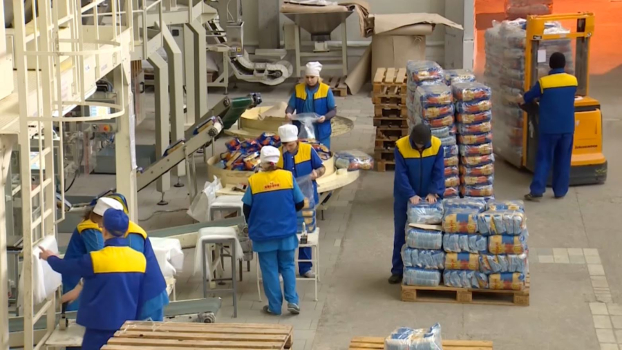 Елде бидай мен жүгеріні өңдейтін бес жоба іске асырылмақ