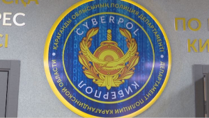 «Киберпол»: создано новое спецподразделение в ДП Карагандинской области