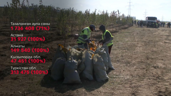 «Таза Қазақстан»: 2024 жылдың қорытындысы