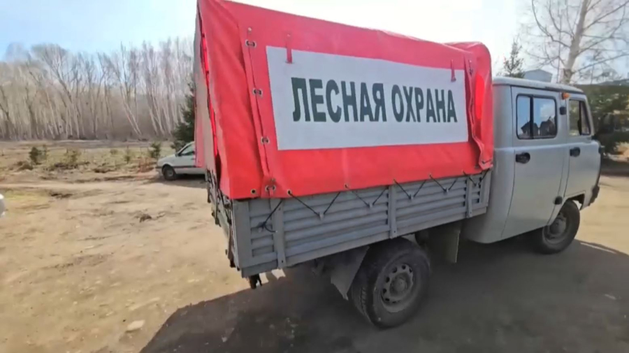 ШҚО орман шаруашылықтарының техникасы жаңартылады