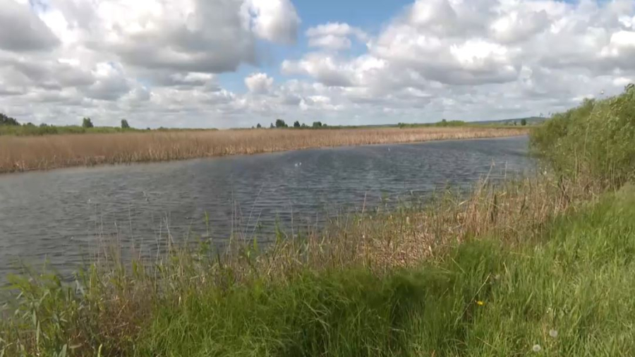 Чаглинское водохранилище очистили от мусора и рыболовных сетей