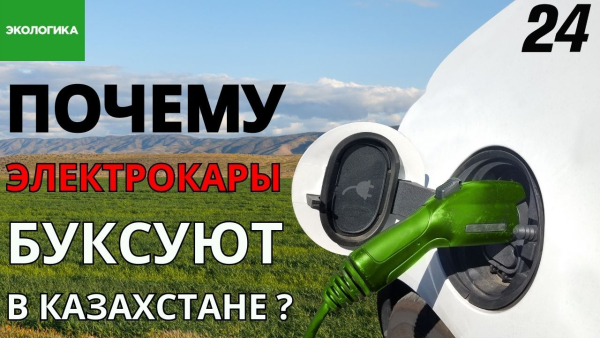 Развитие электротранспорта в РК: изменит ли это экологическую ситуацию? | Экологика