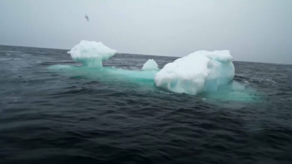 Площадь ледового покрытия Арктики сократилась до исторического минимума
