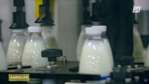 Сколько стоит создать молочный бизнес | AgroLife