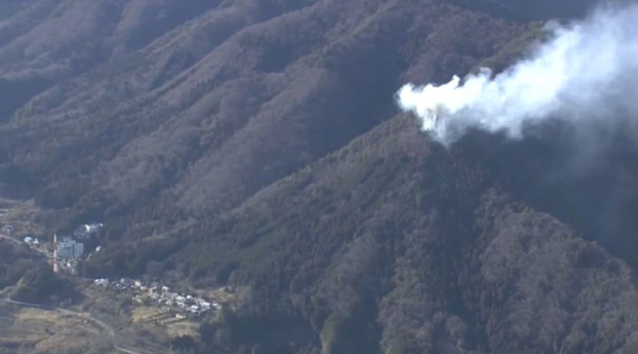 Лесной пожар бушует в Японии