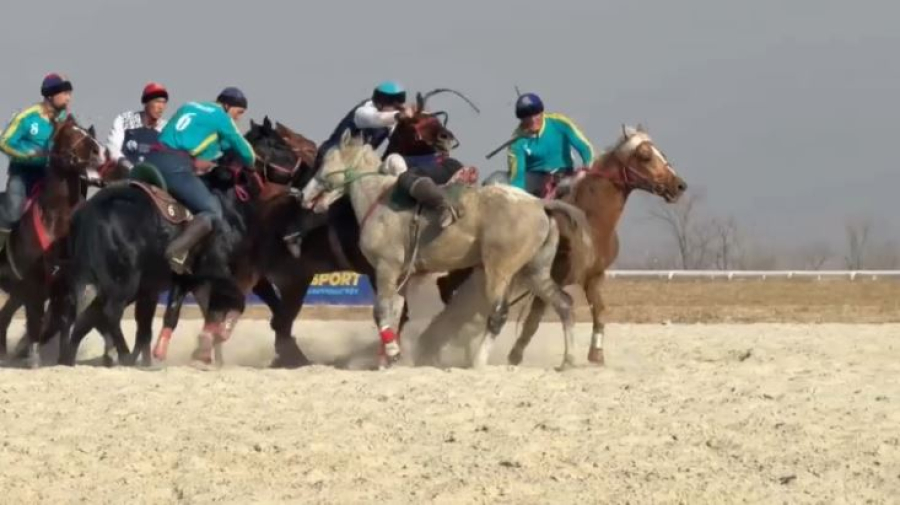 Көкпардан Қазақстан кубогы. Live