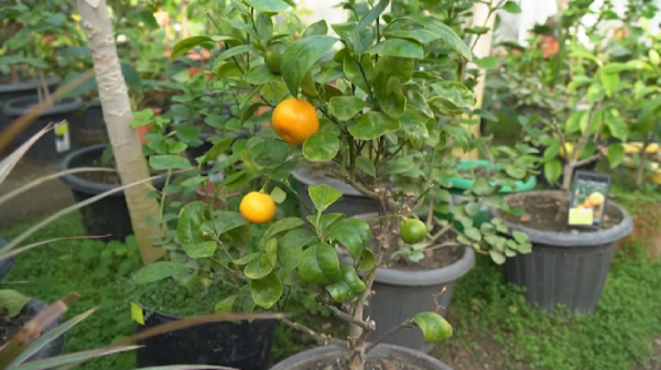 Кандидаты от партии «Ауыл» посетили столичный электротехнический завод