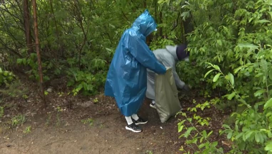 «Таза Қазақстан»: экологическая акция прошла в Бурабае