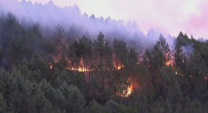 Лесной пожар в Испании выходит из-под контроля