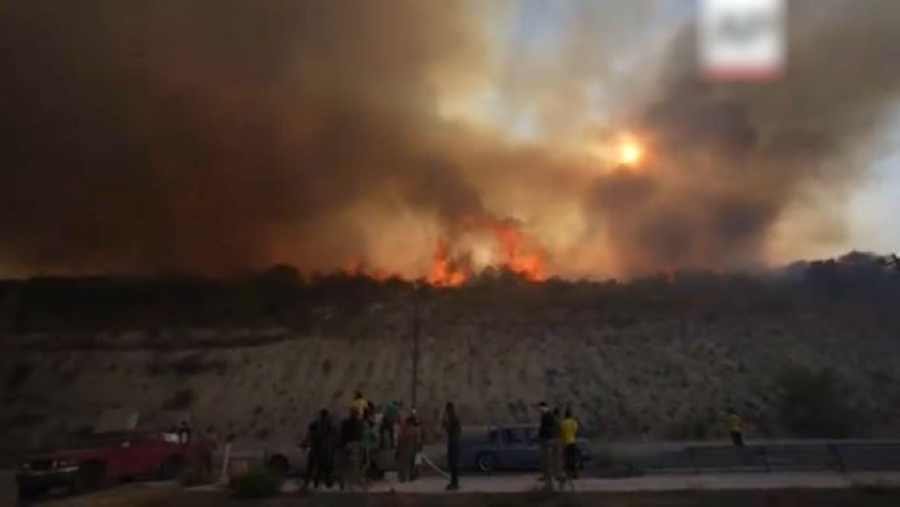 Лесные пожары на Кипре: сгорело 10 тысяч га