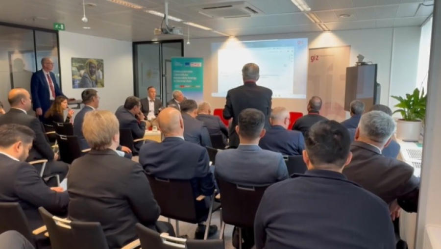 Евросоюз и Центральная Азия развивают ВИЭ