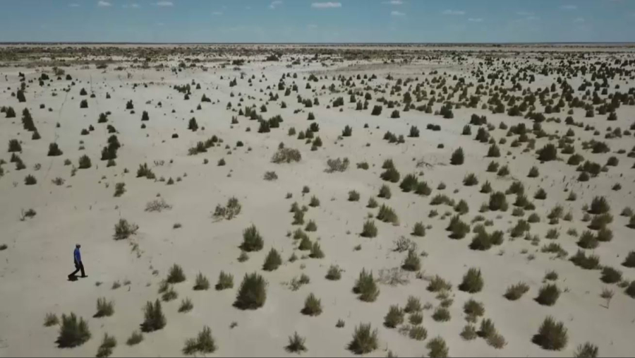 Аралдың табанынан тұщы су шықты