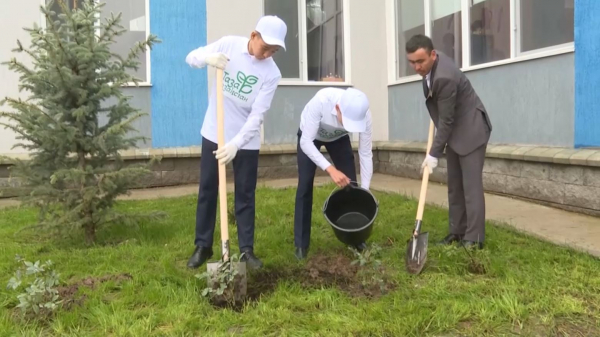 Алматы облысында «Өз ағашыңды өсір» акциясы өтті