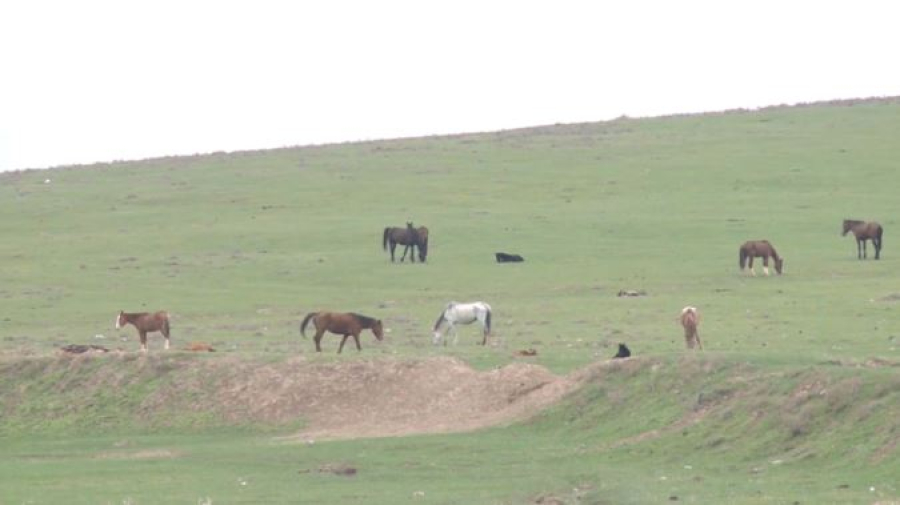 Почти миллион гектаров земли вернули в собственность государства