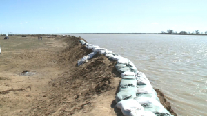 Критический уровень воды сохраняется в реке Жайык