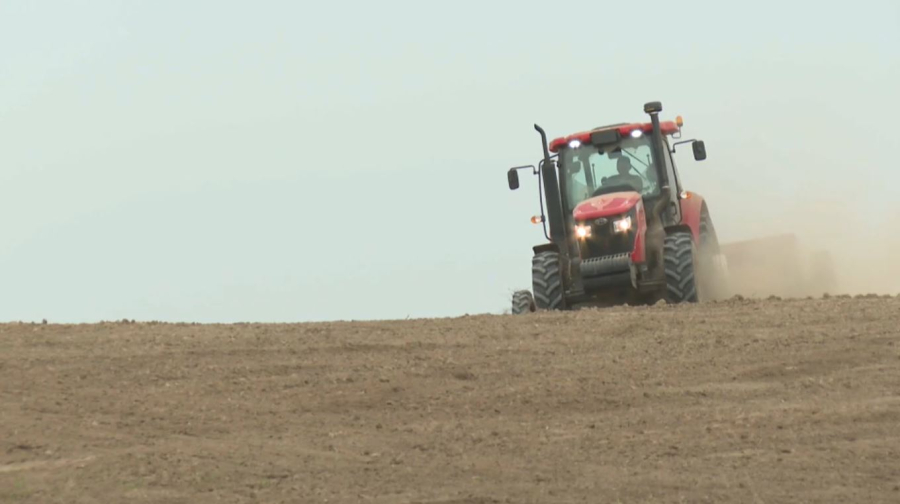 Шымкентте көктемгі егіс науқаны аяқталуға жақын