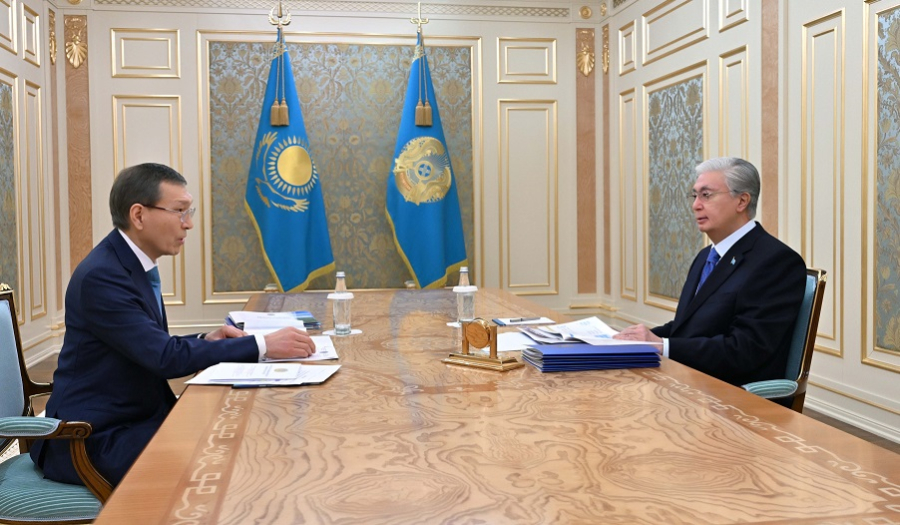 Президент принял председателя Центральной комиссии референдума