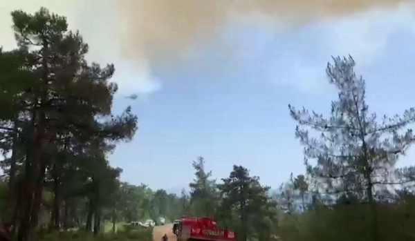 Түркияда орман өртінен мыңдаған адам эвакуацияланды