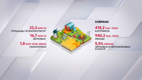 Больше 23 млн га земли засеяли в Казахстане