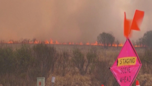 Пожары уничтожили 95 тысяч гектаров леса в канадской Альберте