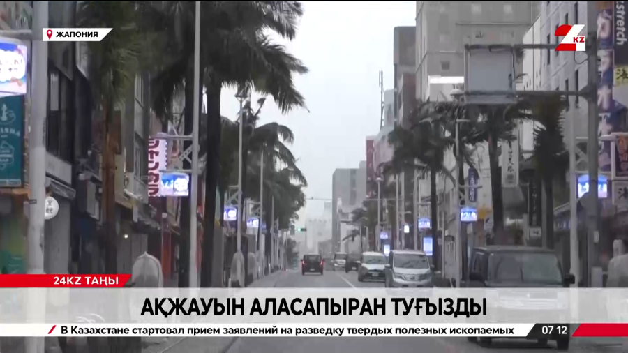 Жапонияда ақжауын аласапыран туғызды