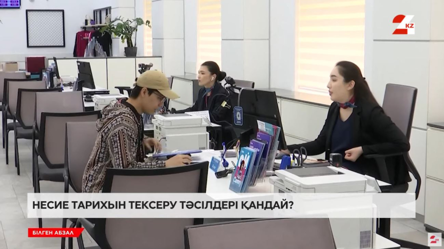 Несие тарихы мен қарыздарды не үшін тексеру керек?