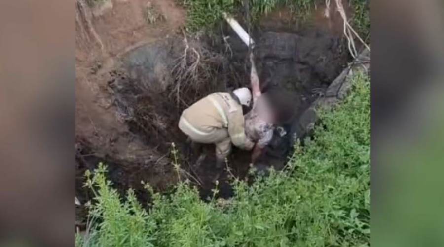 Спасатели МЧС вызволили мужчин из глубоких ям