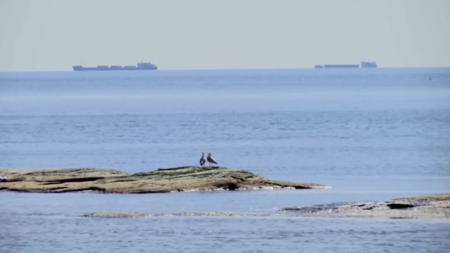 Обмеление Каспия: причины и последствия